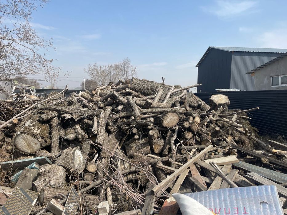 Дрова сухие Карагач