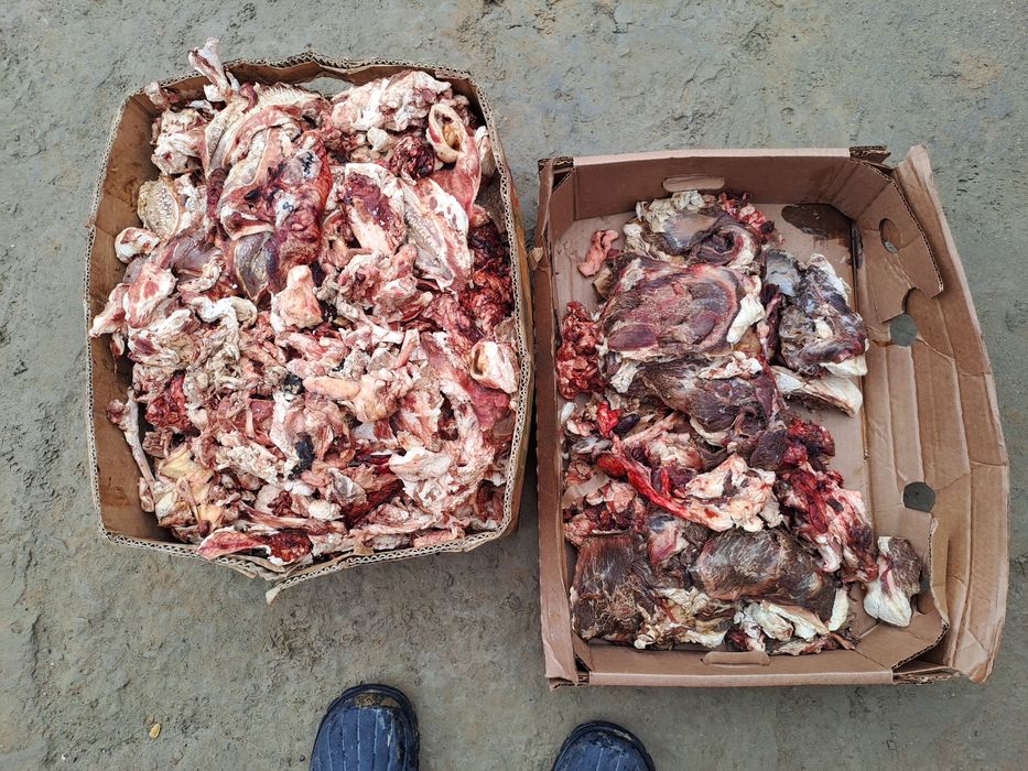 150 тенге  кг. Ит тағамы ет.,Сабачи корм.