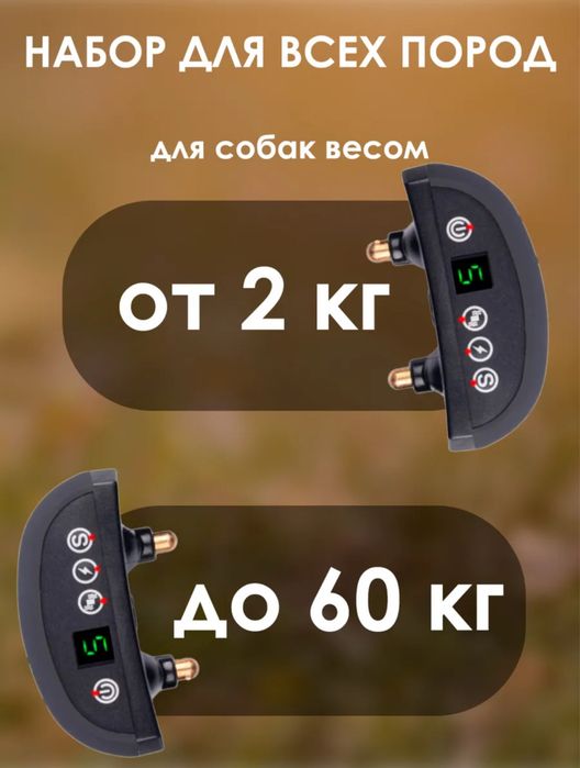 Ошейник электрический для собак