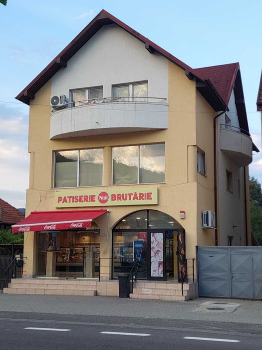 Vilă 515 mp + Spațiu Comercial închiriat (Venit Sigur) - Călimănești