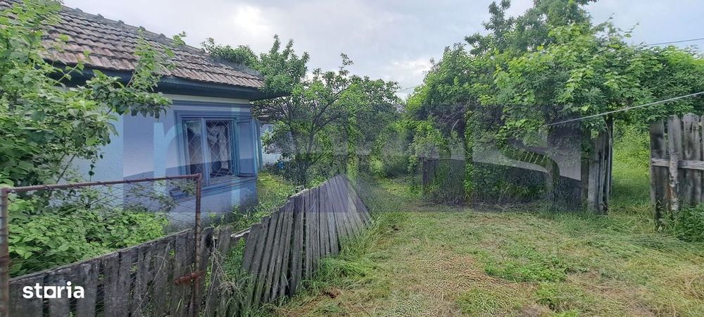 Vanzare Casa | Teren 2500 Mp | Livada Si Vie | Sat Brebina – Scrioaste