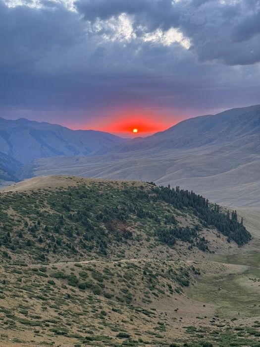 Туры Выезд на природу