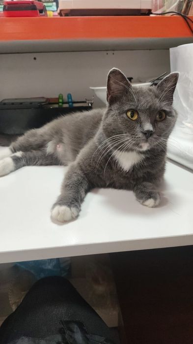 Девочка красотка ищет любящей семью