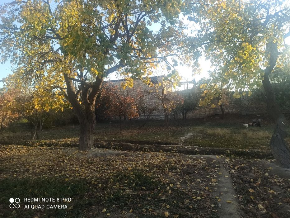 6 Сотокли участка сотилади. Продается срочно!