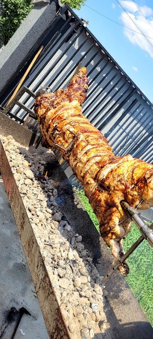 Tudor protap pt evenimentul tău