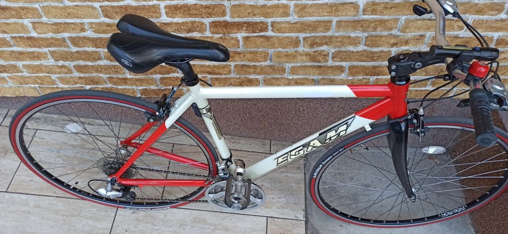 Bicicleta cursiera