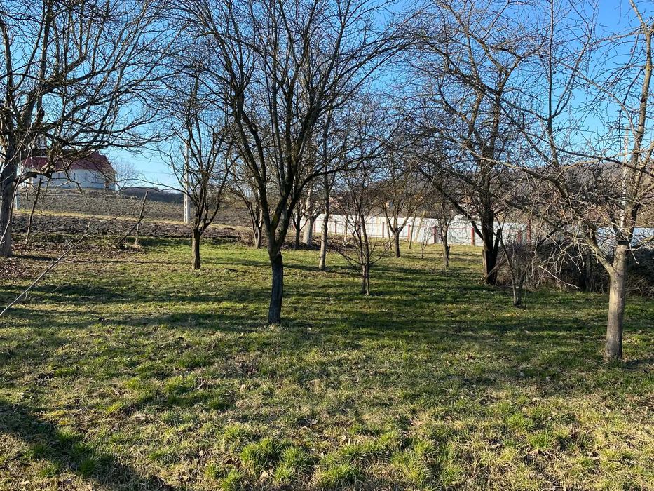 Casă familială tip duplex