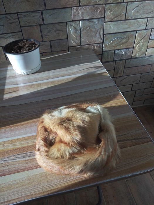 Дамска кожена шапка /калпак/ и кожена яка и двете са от лисица.