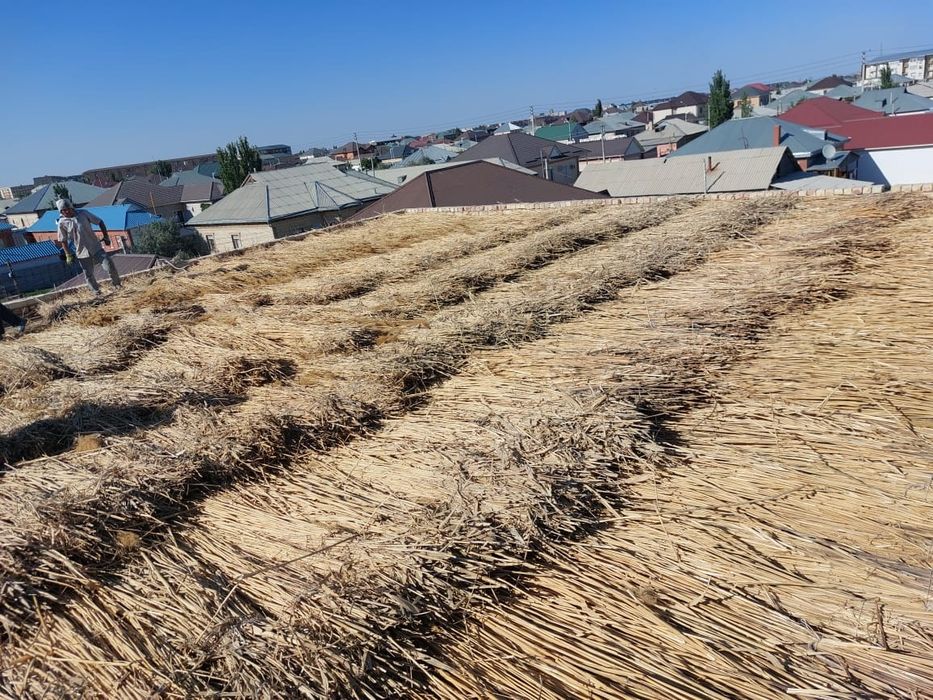 Леликтен украиндық порно