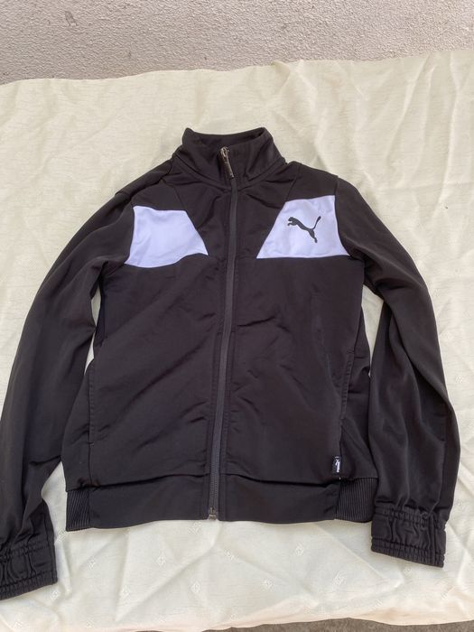 Горнище на пума