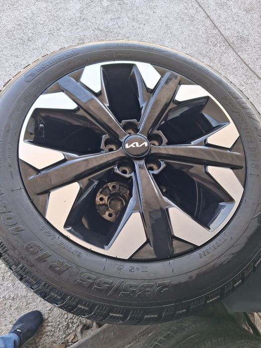 19 kia sportej diska balon arginal