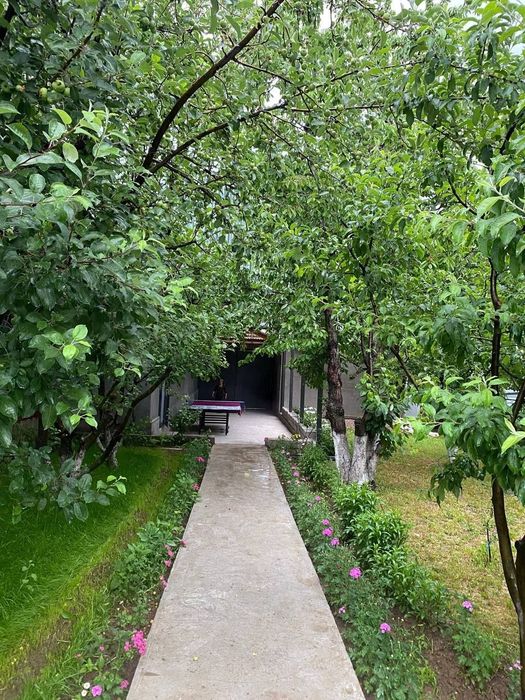 Dacha humsonda basseyn