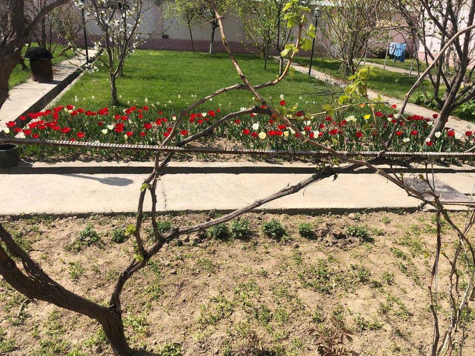 Уй сотилади ер нархида