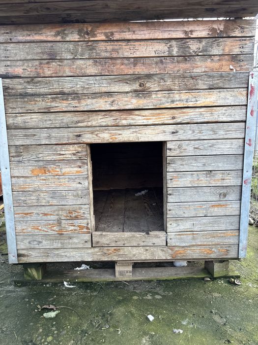 Cusca caini talie mare