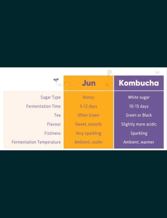 Kombucha pentru miere Kombucha JUN