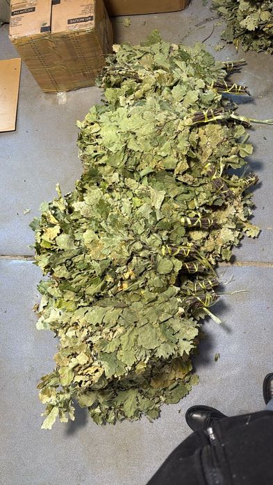 Веники для бани этого года