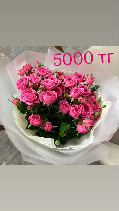 Продам цветы свежие