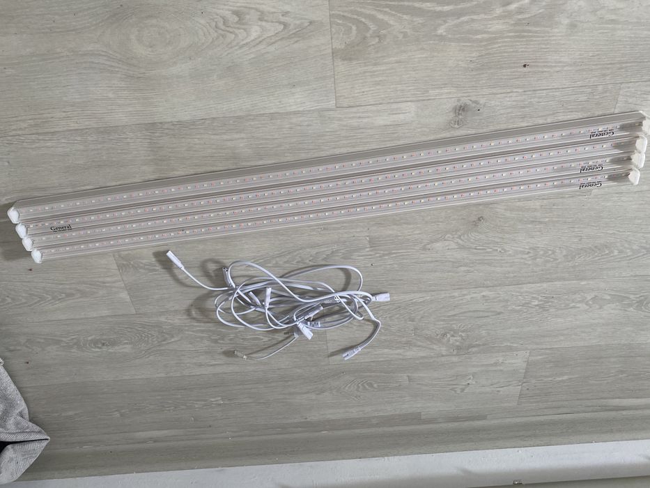 Свете Дётный