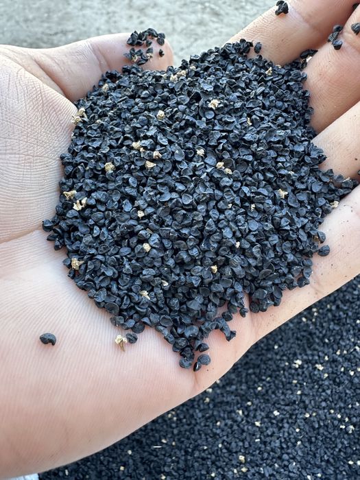 Семе арпаджик Лясковски 58