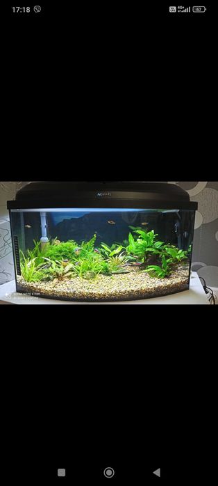 Аквариум  Aquael Classic box 60 -овал