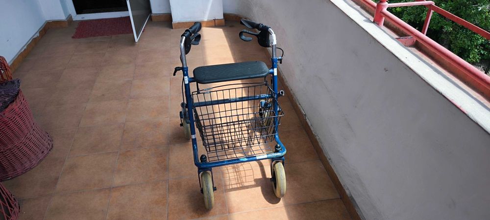 Căruț cu scaun pentru cumpărături !