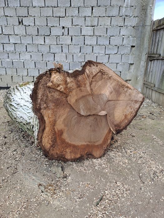 Trunchi - Lemn  -  NUC  ...