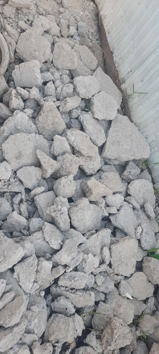 Бесплатно тегін беремін