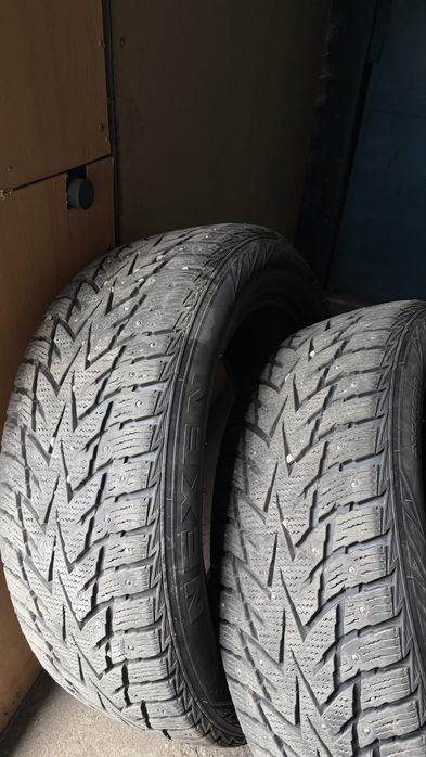 Зимняя резина NEXEN R19