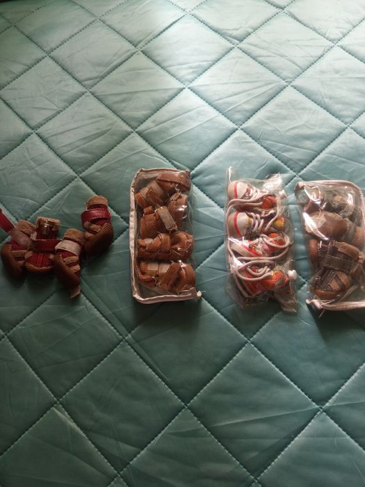 Одежда и все аксессуары для маленькой собачки!