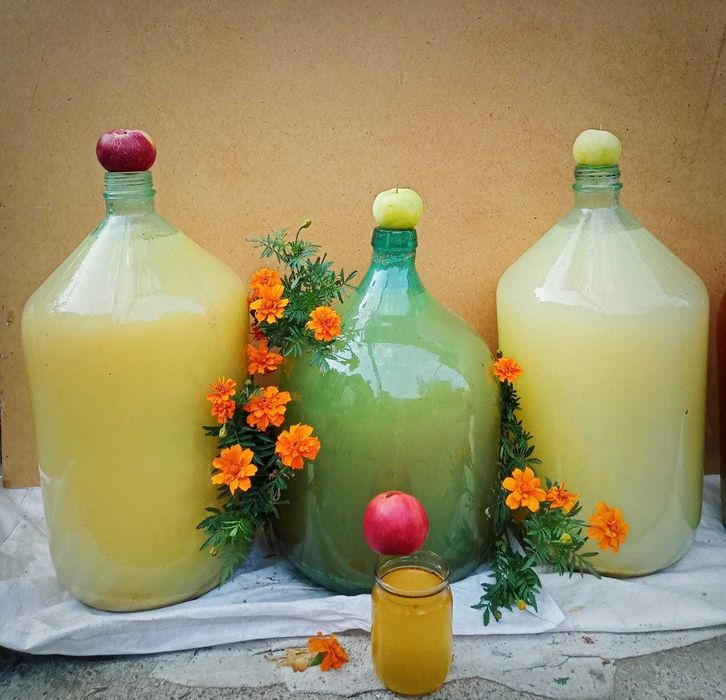 Домашний яблочный уксус