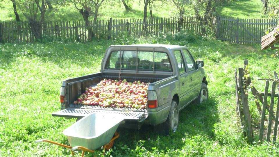 Teren intravilan 8915 mp si Casa 70 mp,  in Galeș, judetul Arges