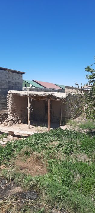 Қам герпиш бар бесплатно