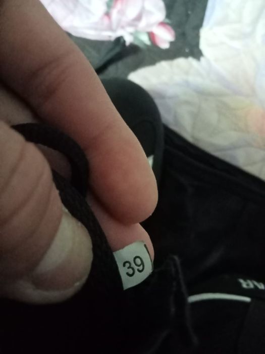 Продам Боксёрки продам