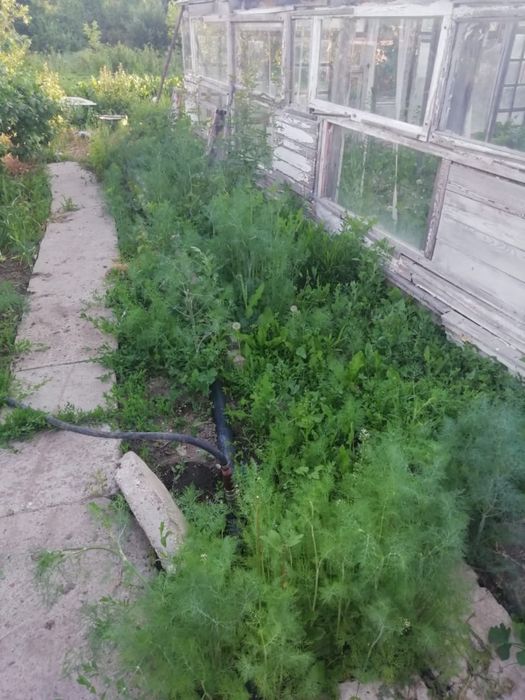 Дача кардиоцентр