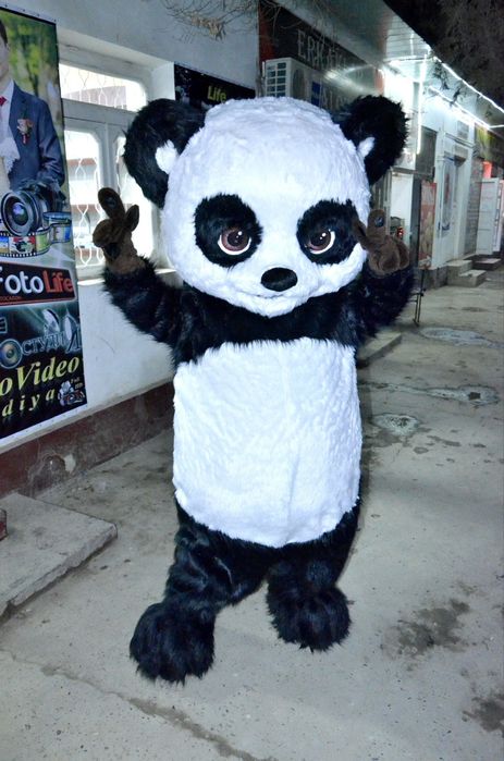 Ростовая Панда продаётся Панда сотилади