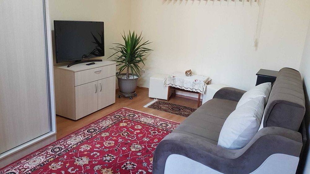 Ofer spre inchiriere apartament ultracentral cu o camera si dependinte