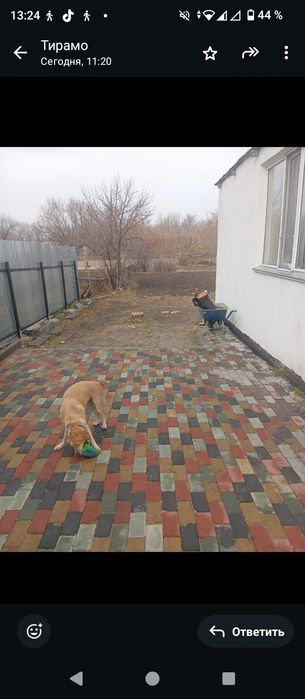 Продаем дом ,в поселке Новодолинка