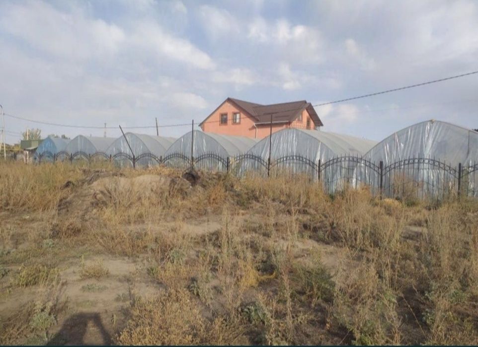 Теплица нержавеющая