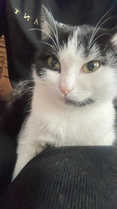 Карамелька и Пират