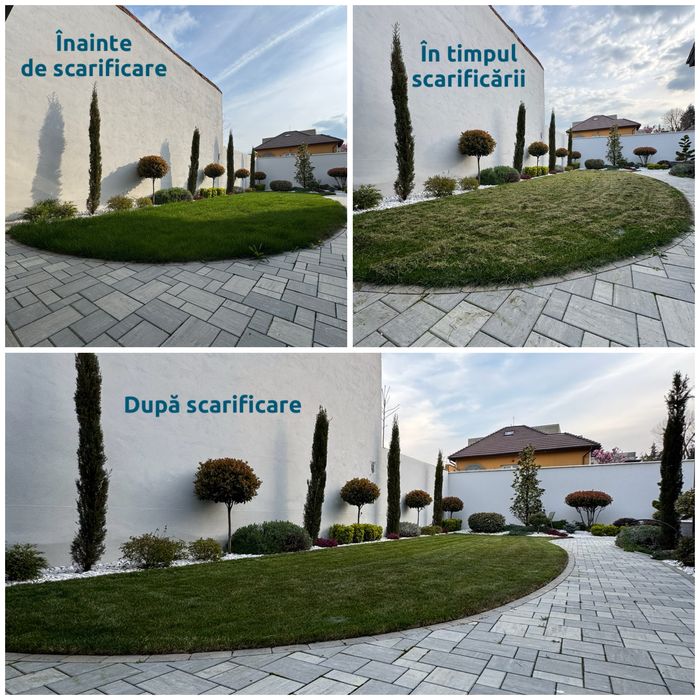 Amenjari Spatii Verzi Arad