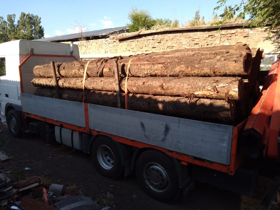 Продам КРУГЛЯК ЁЛКАААА 70000тг куб.