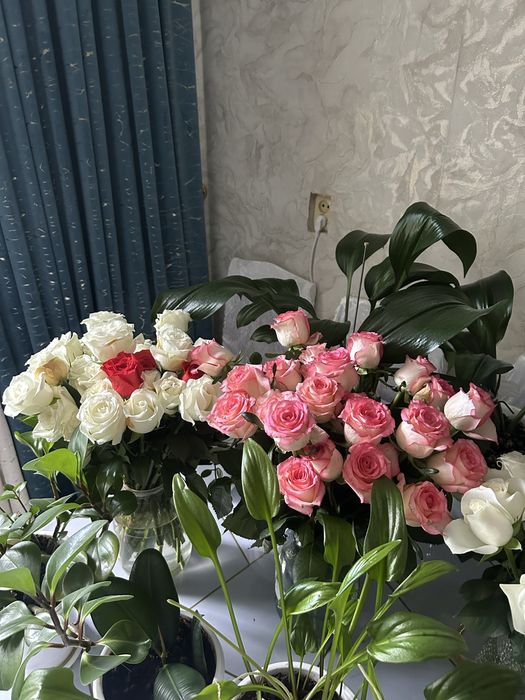 Сатыладыы!!! Свежый