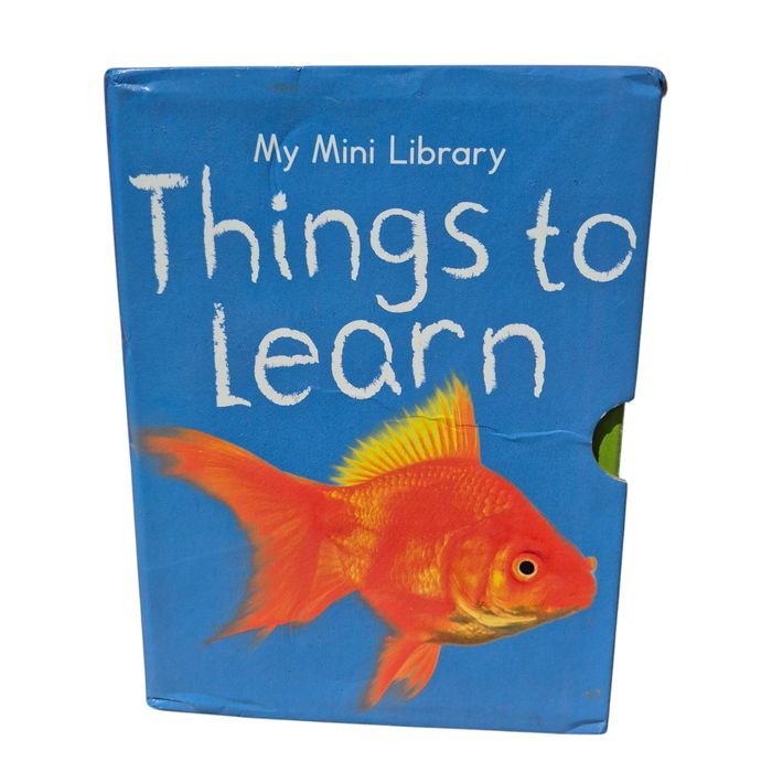 Things to learn: Counting, Colours, Opposites, Shapes, set 4 cărticele