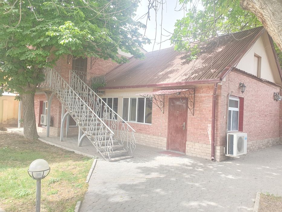 МАЙСКИЙ(Истик,бол, Шалола)! Срочная продажа! Дешёвая цена!