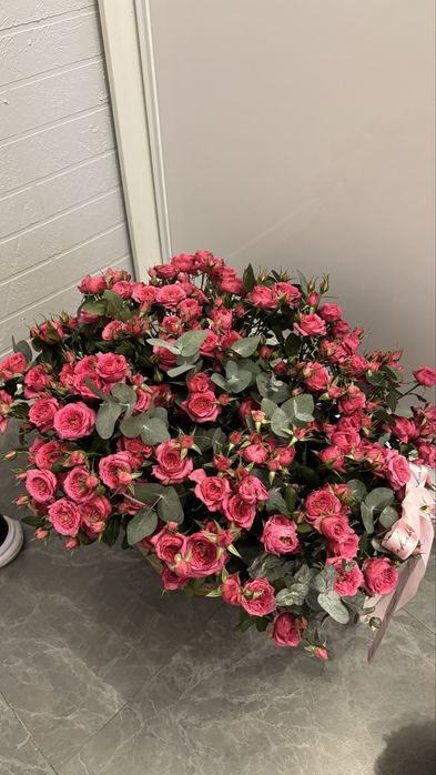 Срочно продаю цветы, они свежие