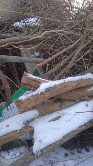 Отдам древесину. Бесплатно
