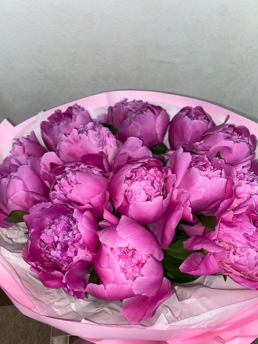 Цветы пионы 15 штук