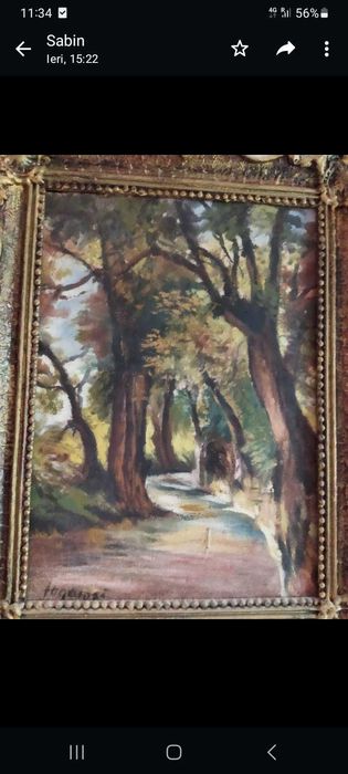 Vand tablouri,pictor Fogarasi,55x40 cm