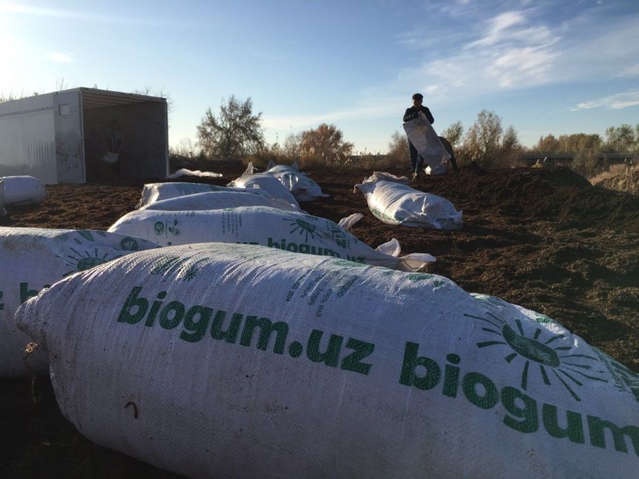 Универсалный грунт для растений