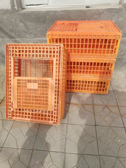 Tovuq tashish uchun  yashik